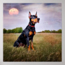 Pesquisar por pinscher pósteres pôsteres Doberista