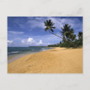 Pesquisar por porte postal do paraíso Caribe