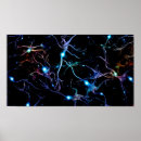 Pesquisar por neurônio pôsteres Nervo