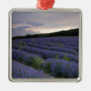 Pesquisar por agrícola ornamentos Cropland