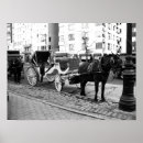 Pesquisar por cavalos brancos pôsteres Qualquer pessoa