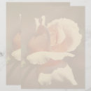 Pesquisar por bebê papel timbrado Floral