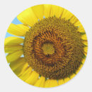 Pesquisar por florista adesivos Jardineiro