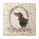 Pesquisar por patas do cão azulejos Bonito