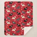 Pesquisar por animais mantas Cão