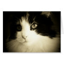 Pesquisar por gato mal humorado cartoes postais Engraçado