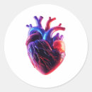 Pesquisar por coração anatômico adesivos Anatômica