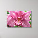Pesquisar por orquídeas roxas impressão de canvas Natureza