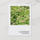 Pesquisar por alegria cartao de visita Moderno