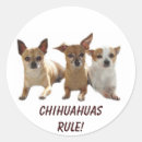 Pesquisar por chihuahua mexicana adesivos Cão