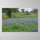 Pesquisar por país do monte de texas Wildflowers