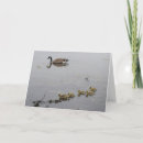 Pesquisar por mother nature cartoes Photography