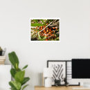 Pesquisar por poster joaninha pósteres pôsteres Coccinellidae