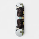 Pesquisar por vacas skates Gado