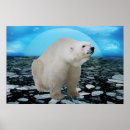 Pesquisar por urso polar pôsteres Ártico