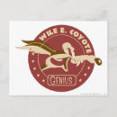 Pesquisar por wile coyote cartoes postais Toninha