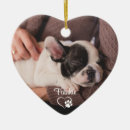 Pesquisar por dog ornamentos Foto