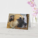 Pesquisar por cadela cartoes Cães