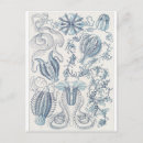 Pesquisar por ernst haeckel cartoes postais Biologia