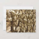 Pesquisar por textura de madeira cartoes Natureza