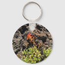 Pesquisar por indio chaveiros Natureza