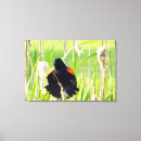 Pesquisar por black impressão de canvas Vermelho