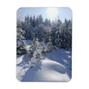 Pesquisar por bavaria cartoes Inverno