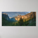 Pesquisar por california pôsteres Floresta