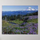 Pesquisar por paisagem natural pósteres pôsteres Cena