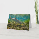 Pesquisar por oregon cartoes Pesca