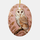 Pesquisar por corujas ornamentos For her