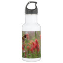 Pesquisar por gordo garrafa agua Verde