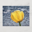 Pesquisar por flor amarela da tulipa Qualquer pessoa