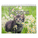 Pesquisar por adorável calendarios Gatos