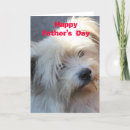 Pesquisar por fathers day cartoes Pet