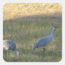 Pesquisar por guindastes de papel adesivos Qualquer pessoa