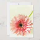 Pesquisar por gerberas cartoes Jardim