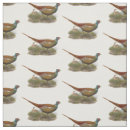 Pesquisar por aves domésticas artesanato material Ave doméstica