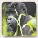 Pesquisar por molhado porta copos Verde