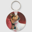 Pesquisar por jack russell terrier chaveiros Fofofo