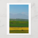 Pesquisar por canola cartoes postais Paisagem