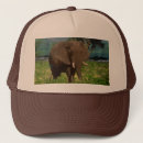 Pesquisar por elefante bones Animal
