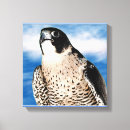 Pesquisar por peregrinos impressão de canvas Animais