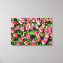 Pesquisar por tulipas cor rosa impressão de canvas Bonito