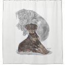 Pesquisar por filhote cachorro pinscher doberman Dobermann