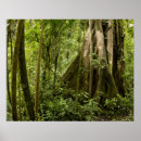 Pesquisar por environment artes pôsteres Forest