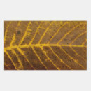 Pesquisar por textura adesivos Natureza