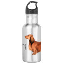 Pesquisar por dachshund garrafa agua Teckel