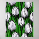 Pesquisar por tulipas brancas pôsteres Natureza
