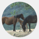 Pesquisar por mustang adesivos Cavalo